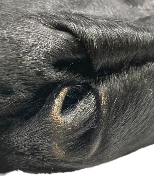 Salvatore Ferragamo（サルヴァトーレ フェラガモ）Salvatore Ferragamo (サルヴァトーレ フェラガモ) ハラコハンドバッグ ブラックの古着・服飾アイテム