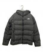 THE NORTH FACEザ ノース フェイス）の古着「BELAYER PARKA」｜グレー