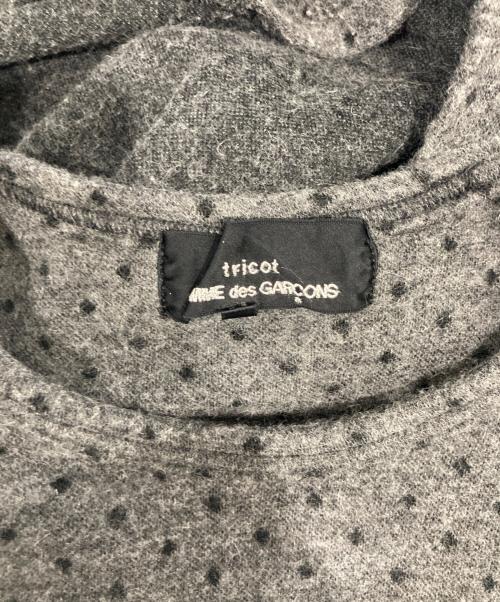 tricot COMME des GARCONS（トリココムデギャルソン）tricot COMME des GARCONS (トリココムデギャルソン) ドットウールカットソー グレー サイズ:Mの古着・服飾アイテム