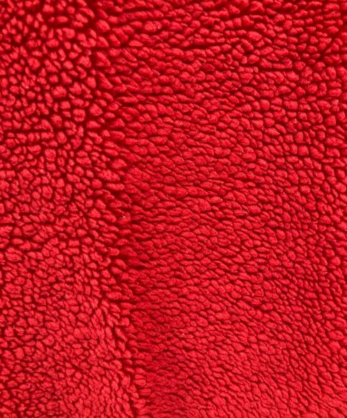 Patagonia（パタゴニア）Patagonia (パタゴニア) レトロXベスト/99年製/USA製 レッド サイズ:Mの古着・服飾アイテム