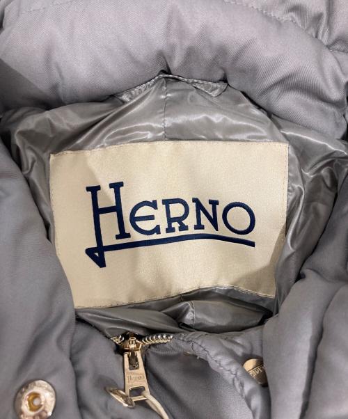HERNO（ヘルノ）HERNO (ヘルノ) ファー付きダウンコート グレー サイズ:44の古着・服飾アイテム