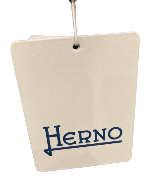 HERNO（ヘルノ）HERNO (ヘルノ) ファー付きダウンコート グレー サイズ:44の古着・服飾アイテム