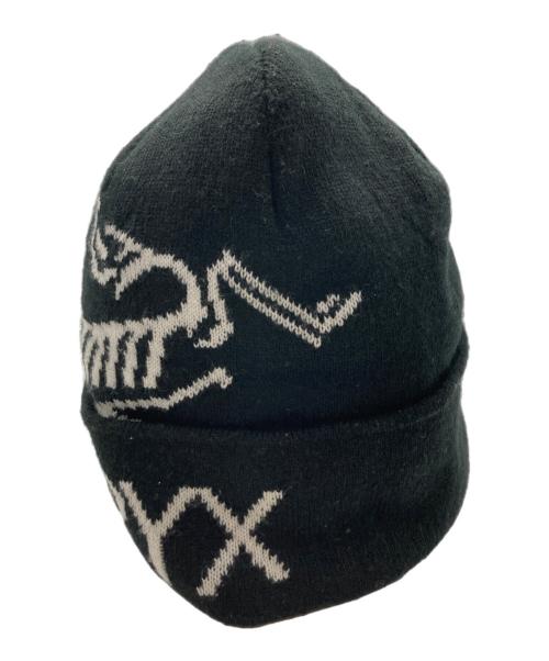 ARC'TERYX（アークテリクス）ARC'TERYX (アークテリクス) ニット帽 ブラックの古着・服飾アイテム