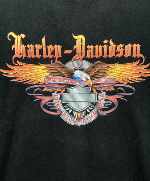 HARLEY-DAVIDSON（ハーレーダビッドソン）HARLEY-DAVIDSON (ハーレーダビッドソン) Tシャツ ブラック サイズ:Lの古着・服飾アイテム
