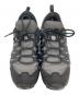 SALOMON (サロモン) X Braze GTX グレー サイズ:SIZE 25cm：8000円