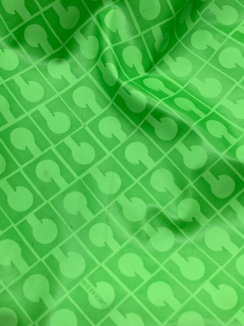 GHERARDINI（ゲラルディーニ）GHERARDINI (ゲラルディーニ) ショルダーバッグ グリーンの古着・服飾アイテム