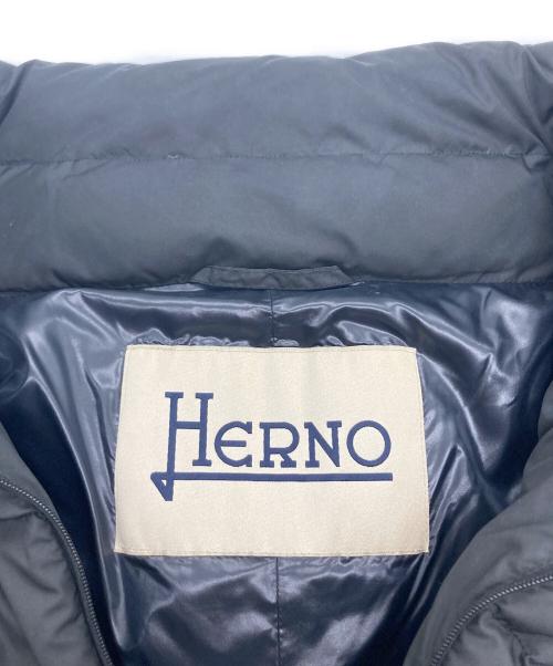 HERNO（ヘルノ）HERNO (ヘルノ) ダウンコート ブラック サイズ:44の古着・服飾アイテム