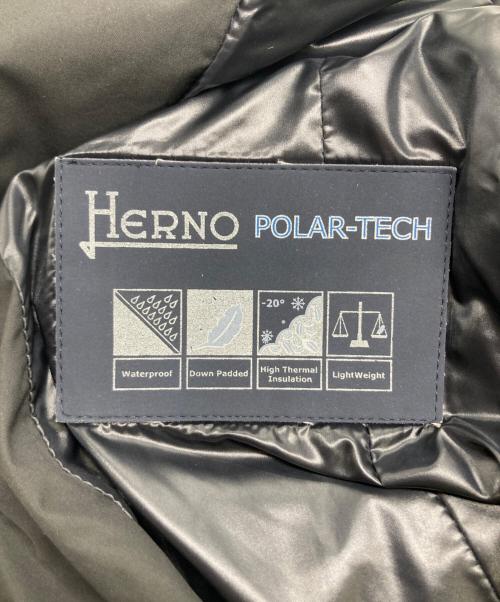 HERNO（ヘルノ）HERNO (ヘルノ) ダウンコート ブラック サイズ:44の古着・服飾アイテム