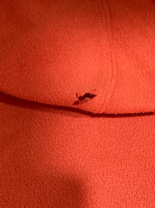 Patagonia（パタゴニア）Patagonia (パタゴニア) リンコンフーディー オレンジ サイズ:Mの古着・服飾アイテム