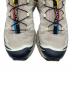 中古・古着 SALOMON (サロモン) XT-6 LunRoc ホワイト サイズ:25：12000円