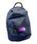 THE NORTHFACE PURPLELABEL（ザ・ノースフェイス パープルレーベル）の古着「ショルダーバッグ」｜ネイビー