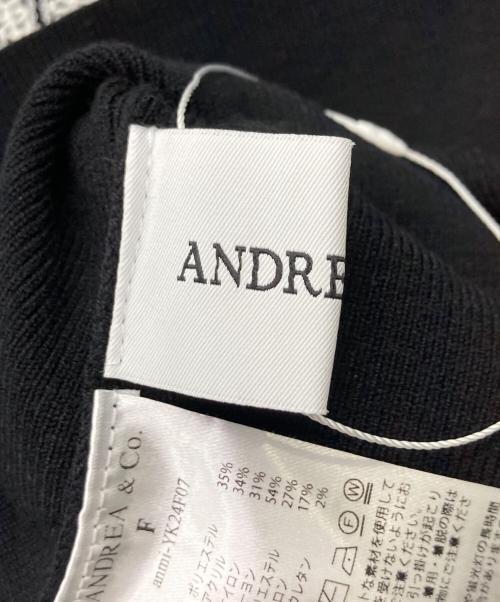 ANDREA&Co.（アンドレアアンドコー）ANDREA&Co. (アンドレアアンドコー) LACE LINE CUTOUT KNIT ブラック サイズ:Freeの古着・服飾アイテム