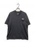 THE NORTH FACE (ザ ノース フェイス) FLASHDRY 3D Tee/Short SET グレー サイズ:M：6000円