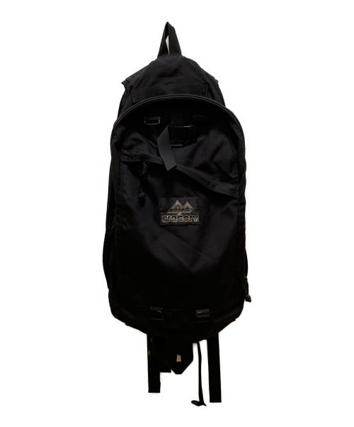 GREGORY（グレゴリー）GREGORY (グレゴリー) BEAMS (ビームス) 別注デイパック ブラックの古着・服飾アイテム