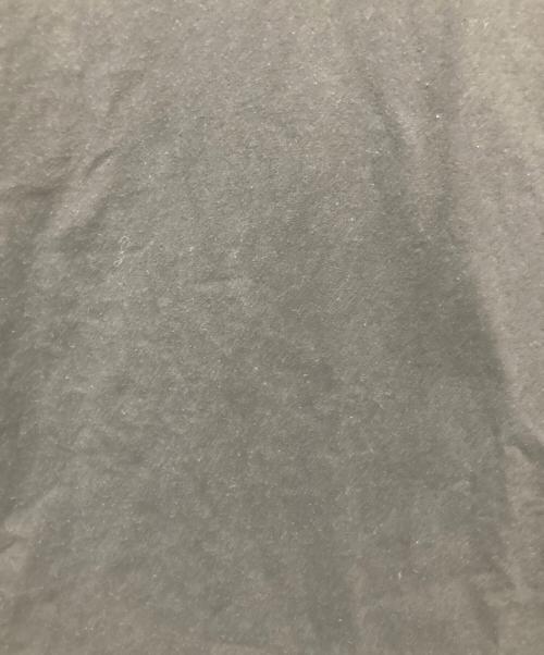 BOTTEGA VENETA（ボッテガベネタ）BOTTEGA VENETA (ボッテガベネタ) borderless music festival プリントTシャツ ブラック サイズ:Mの古着・服飾アイテム