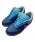 NIKE（ナイキ）の古着「SB Dunk Low/SB ダンク ロー」｜ブルー×ピンク