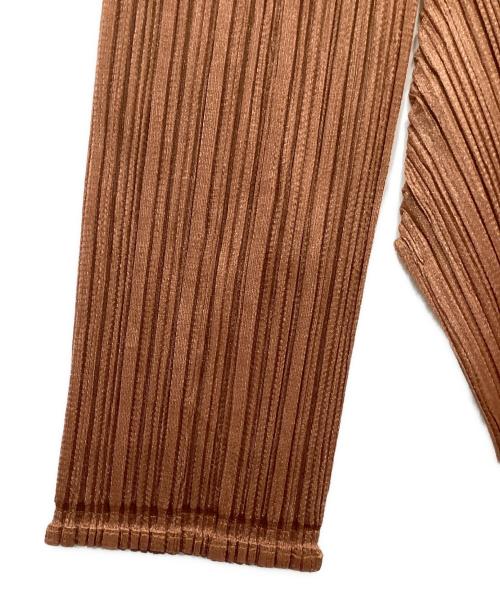PLEATS PLEASE（プリーツプリーズ）PLEATS PLEASE (プリーツプリーズ) MONTHLY COLORS : MARCH ブラウン サイズ:5の古着・服飾アイテム