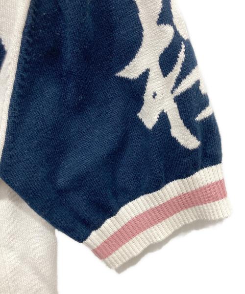 EVISU（エヴィス）EVISU (エヴィス) PALACE (パレス) Cycle Knit Polo Shirt 