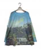 Ameriアメリ）の古着「ILLUSTRATION PRINT SHEER TOP」｜ブルー