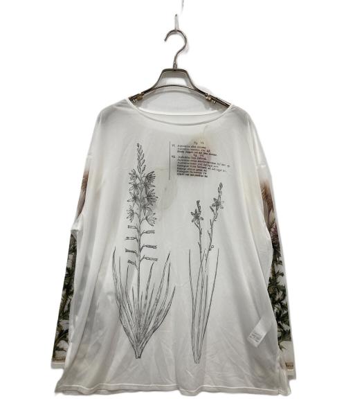 Ameri（アメリ）Ameri (アメリ) 花柄シアー長袖カットソー ホワイト サイズ:Freeの古着・服飾アイテム