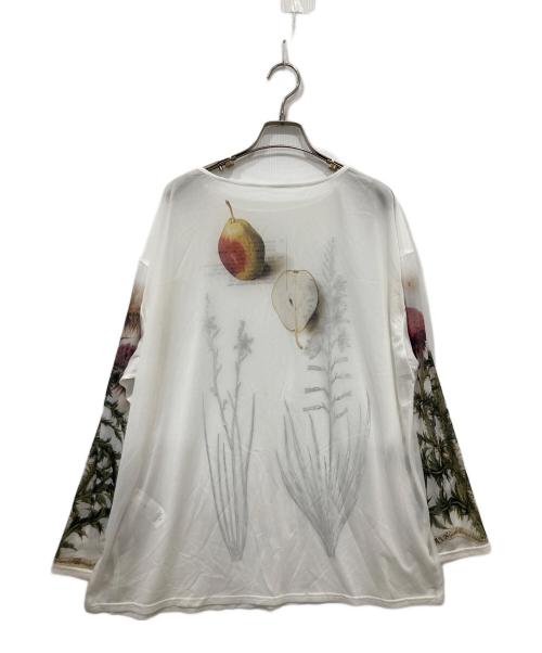 Ameri（アメリ）Ameri (アメリ) 花柄シアー長袖カットソー ホワイト サイズ:Freeの古着・服飾アイテム