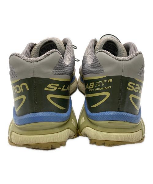 SALOMON（サロモン）SALOMON (サロモン) Xt-6 グレー サイズ:28の古着・服飾アイテム