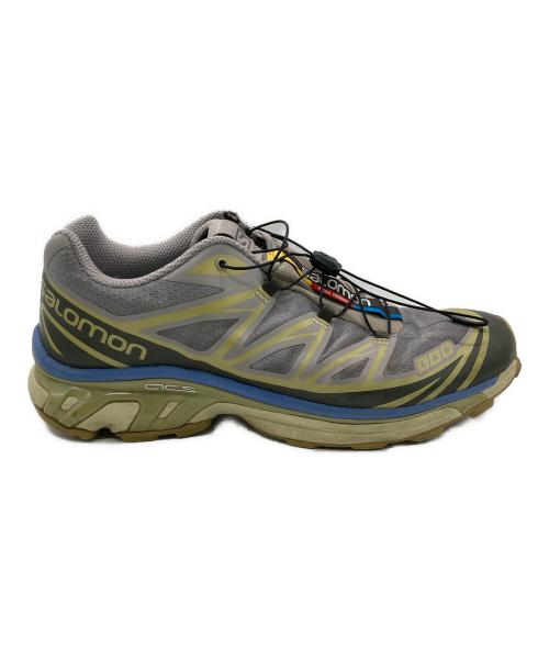 SALOMON（サロモン）SALOMON (サロモン) Xt-6 グレー サイズ:28の古着・服飾アイテム