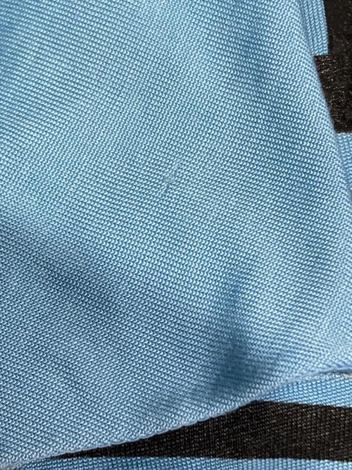 Champion（チャンピオン）Champion (チャンピオン) フットボールTシャツ スカイブルー サイズ:Lの古着・服飾アイテム