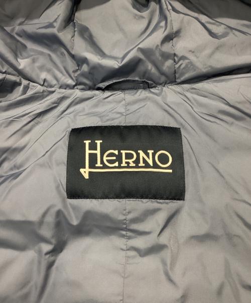 HERNO（ヘルノ）HERNO (ヘルノ) POLAR-TECH ポーラテック ダウンコートPI0191U ブルー サイズ:46の古着・服飾アイテム