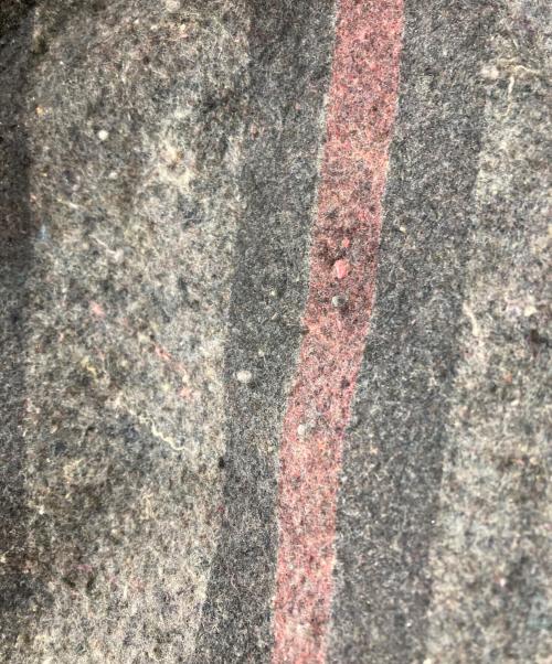 CarHartt（カーハート）CarHartt (カーハート) 裏ブランケットデトロイトジャケット ブラウン サイズ:Mの古着・服飾アイテム