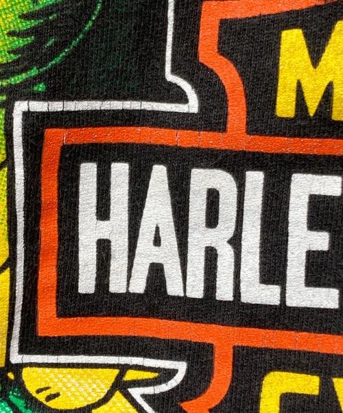 HARLEY-DAVIDSON（ハーレーダビッドソン）HARLEY-DAVIDSON (ハーレーダビッドソン) ドラゴンプリントTシャツ ブラック サイズ:Lの古着・服飾アイテム