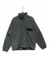 Patagonia（パタゴニア）の古着「ライトウェイト・シンチラ・スナップT・プルオーバー　25580FA15」｜グレー