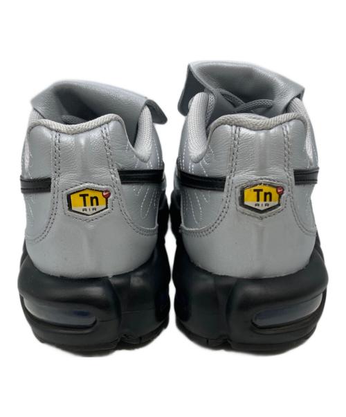 NIKE（ナイキ）NIKE (ナイキ) Air Max Plus Tiempo（エアマックス　プラス　ティエンポ） グレー サイズ:26.5の古着・服飾アイテム