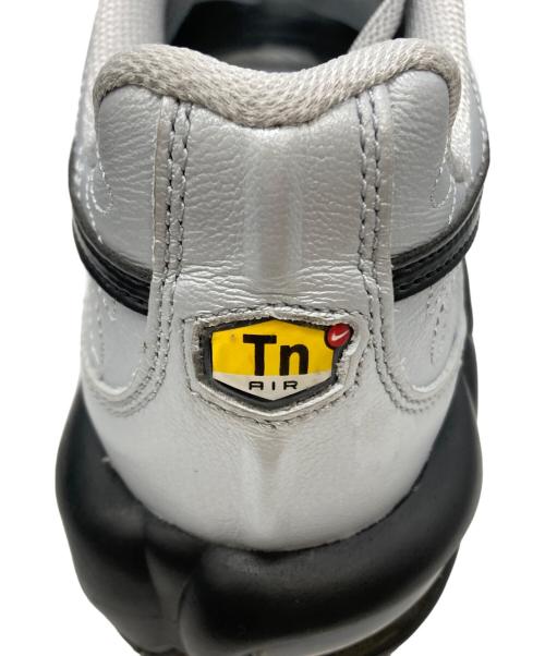 NIKE（ナイキ）NIKE (ナイキ) Air Max Plus Tiempo（エアマックス　プラス　ティエンポ） グレー サイズ:26.5の古着・服飾アイテム