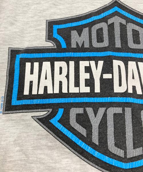 HARLEY-DAVIDSON（ハーレーダビッドソン）HARLEY-DAVIDSON (ハーレーダビッドソン) シロクマプリントカットソー グレー サイズ:XLの古着・服飾アイテム