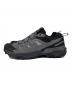 SALOMON (サロモン) X ULTRA 360 LTR GTX グレー サイズ:29：10000円