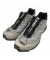 SALOMON（サロモン）の古着「XT-6 Shadow」｜グレー