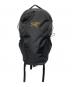 ARC'TERYX（アークテリクス）の古着「マンティス 16 バックパック」｜ブラック