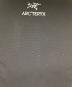中古・古着 ARC'TERYX (アークテリクス) Blade 20 Backpack ブラック：10000円