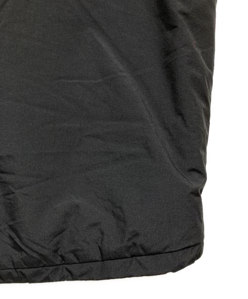 US ARMY（ユーエスアーミー）US ARMY (ユーエスアーミー) ECWCS GEN3 LEVEL7 VEST ブラック サイズ:LARGE REGULARの古着・服飾アイテム