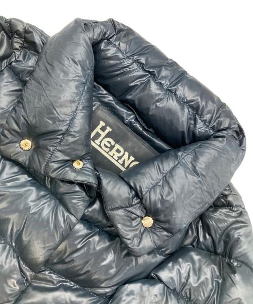 HERNO（ヘルノ）HERNO (ヘルノ) ダウンコート ネイビー サイズ:40の古着・服飾アイテム