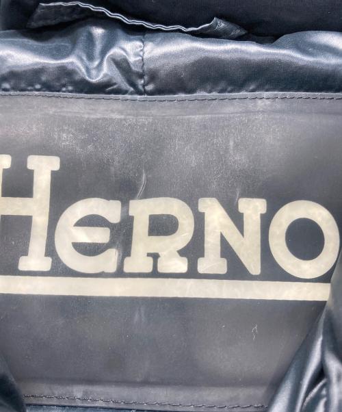 HERNO（ヘルノ）HERNO (ヘルノ) ダウンコート ネイビー サイズ:40の古着・服飾アイテム