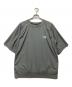 THE NORTHFACE PURPLELABEL（ザ・ノースフェイス パープルレーベル）の古着「H/S Crew Neck Tee ナイロン クルーネックTシャツ」｜グレー