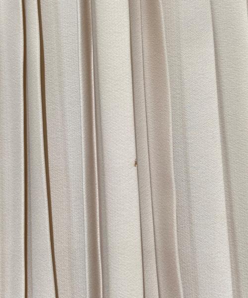 CLANE（クラネ）CLANE (クラネ) SIDE PLEAT SKIRT ベージュ サイズ:Mの古着・服飾アイテム