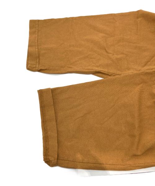 stussy（ステューシー）stussy (ステューシー) ラスタ総柄 ラグラン カットソー ブラウン サイズ:XLの古着・服飾アイテム