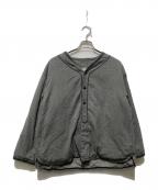 VISVIMビズビム）の古着「DOGOUT CHAMBRAY DOWN」｜グレー