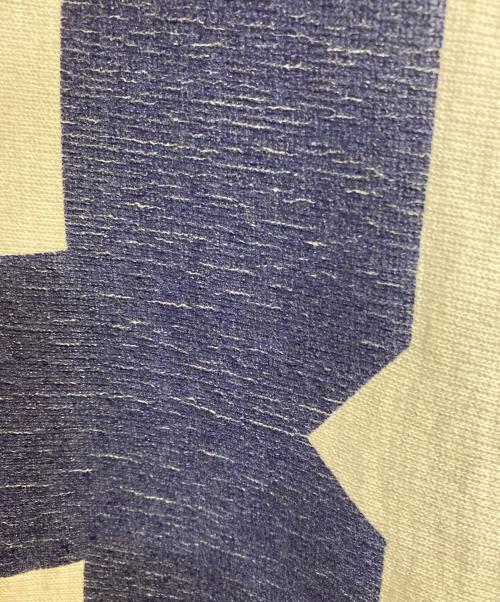 Champion REVERSE WEAVE（チャンピオン リバース ウィーブ）Champion REVERSE WEAVE (チャンピオン リバース ウィーブ) カレッジロゴパーカー グレー サイズ:ＸＬの古着・服飾アイテム