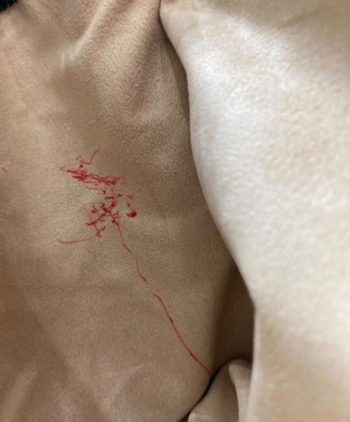 傳濱野（デンハマノ）傳濱野 (デンハマノ) ミーティアスクエアハンドバッグ ブラックの古着・服飾アイテム