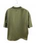DAIWA PIER39 (ダイワ ピア39) Tech 1P Hi-Crew Neck T-Shirts グリーン サイズ:M：6000円