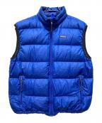 Patagoniaパタゴニア）の古着「中綿ベスト」｜ブルー